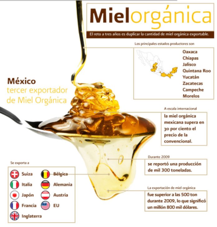 Infografia_Miel_organica